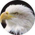 assets/static/avatars/v2/av-15.png?v=4.2.29-hotfix-5